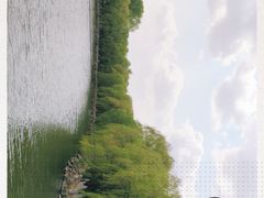 -二一九公园
