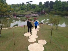 -铁山坪森林公园