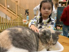 -藦茜花园宠物主题亲子互动体验馆(国顺东路店)