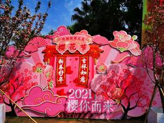 -观澜湖生态运动公社