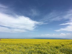 -青海湖国家重点风景名胜区