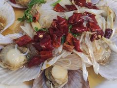油泼扇贝-来之顺海鲜菜馆·青岛菜·始于1993(栈桥店)