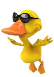 -星宝贝儿童摄影