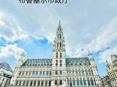 -布鲁塞尔大广场