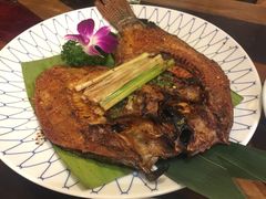 -紫滇源云南生态菜(丹凤街店)