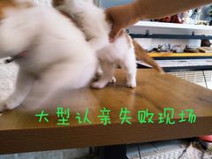 -平行世界·猫咖(首经贸店)