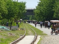 -永定河休闲森林公园