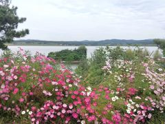 -鴜鹭湖生态旅游度假区