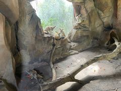 -长鹿旅游休博园