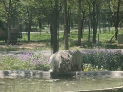-秦皇岛野生动物园