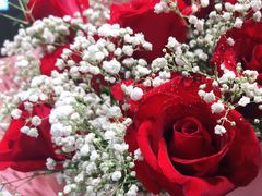 -Libra Flora花店(骆岗中央公园店)
