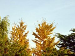 -鹫峰国家森林公园