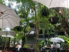 -Fern Forest Cafe