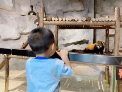 -Zoolung Zoolung动物主题公园(海信广场店)