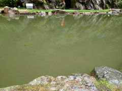 -苍山世界地质公园·石门关大峡谷