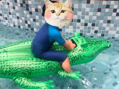 -南宫温泉水世界