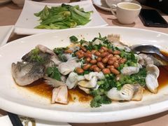 -宝园酒家(美林M·LIVE天地东座店)