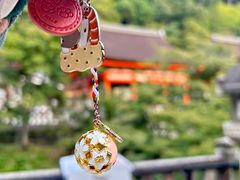 -有栖山 清光院 清水寺