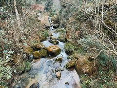 -南岳衡山风景名胜区