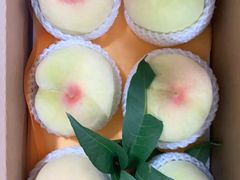 -老袁家蜜桃农场·阳山水蜜桃