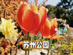 -苏州公园(双塔街道)
