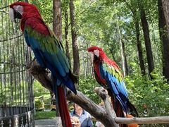 -北京野生动物园