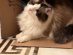 -佳雯宠物医院(四明中路分院)