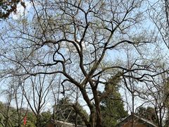 -雨花台烈士纪念馆