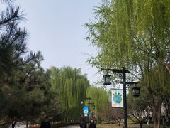 -西安汉城湖景区