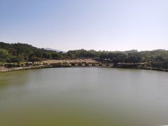 -东莞植物园
