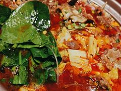 -杨氏青龙虾·羊蝎子(金盛路总店)