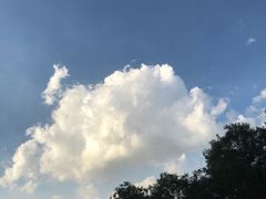 -牛背梁国家森林公园