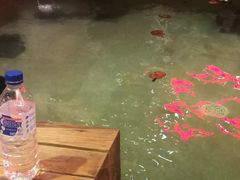-汉拿山温泉度假酒店