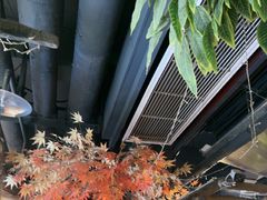 -城墙拐拐火锅(三峡广场黑金冠店)
