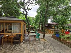 -张鸟园农家乐(张鸟园店)