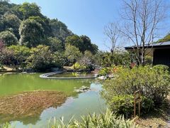 -云溪植物园