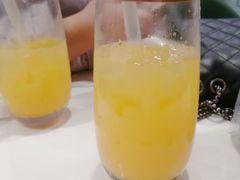 -安格丽娜·狗咖·猫咖羊驼咖(春熙路百盛商场店)