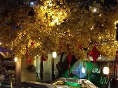 -淀里船宴(裕华东路店)