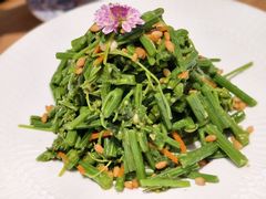 -连鹭海鲜·海肠捞饭·海胆饭(星海店)