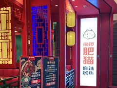 门面-南锣肥猫·麻辣烤鱼·16年现烤现卖(财富购物中心店)