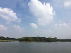 -昆山城市生态森林公园