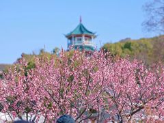 -无锡梅园公园