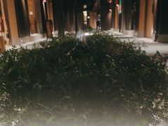 -阿伟海鲜楼·福建菜(涵江店)
