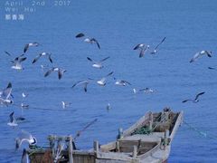 -那香海钻石沙滩浴场