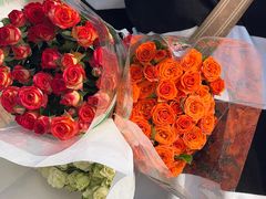 -三圣花乡旅游区