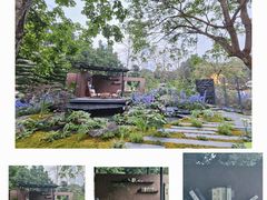 -莲花山公园