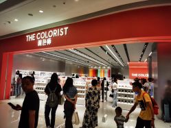 -THE COLORIST调色师