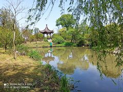 -鹅湖玫瑰文化园