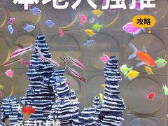 -山水温泉