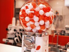 -LE JARDIN de Joel Robuchon(新世界大丸百货店)